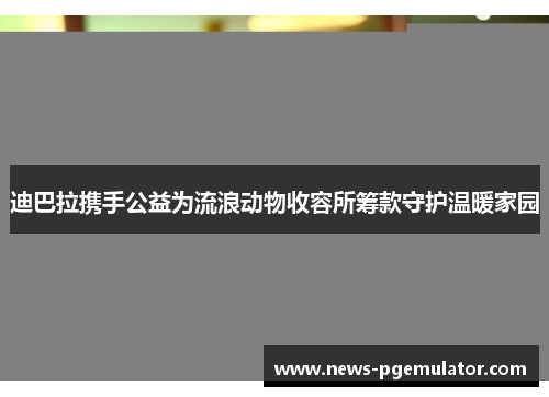 迪巴拉携手公益为流浪动物收容所筹款守护温暖家园