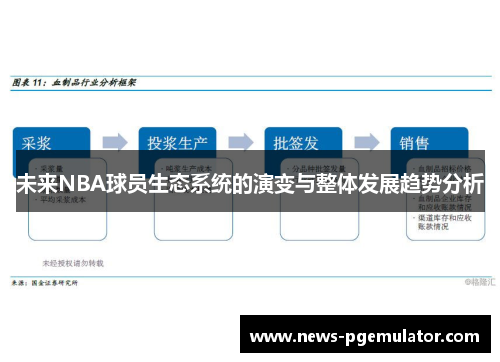 未来NBA球员生态系统的演变与整体发展趋势分析