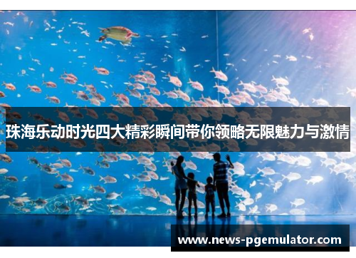 珠海乐动时光四大精彩瞬间带你领略无限魅力与激情