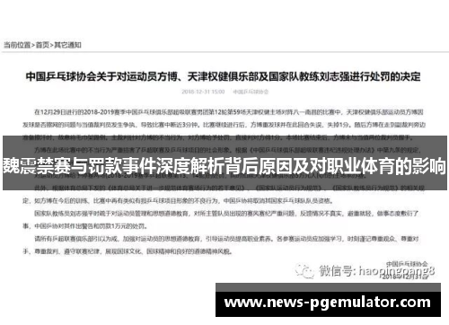 魏震禁赛与罚款事件深度解析背后原因及对职业体育的影响